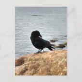 Vancouver Crow Briefkaart (Voorkant)