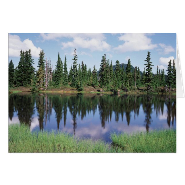 Vancouver Island, provinciaal park Strathcona 2 (Voorkant Horizontaal)