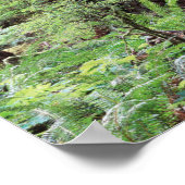 Vancouver Island, provincie MacMillan Park 1 Poster (Hoek)