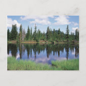 Vancouver Island, Strathcona Provincial Park 2 Briefkaart (Voorkant)