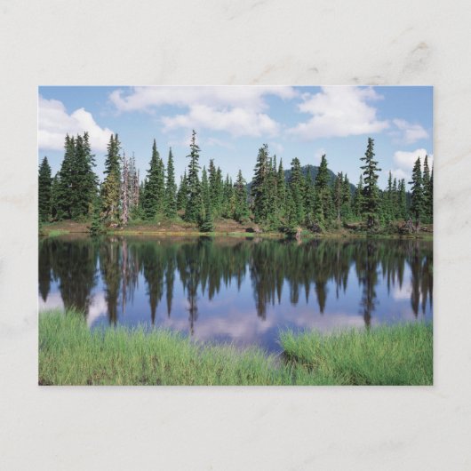 Vancouver Island, Strathcona Provincial Park 2 Briefkaart (Voorkant)