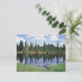 Vancouver Island, Strathcona Provincial Park 2 Briefkaart (Staand voorkant)