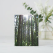 Vancover Island Forest Briefkaart (Staand voorkant)