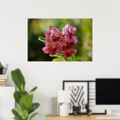 Vanda Bouquet Poster (Thuiskantoor)