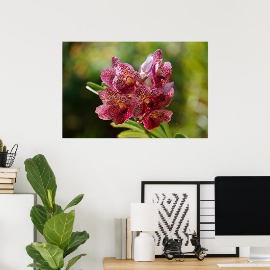 Vanda Bouquet Poster (Thuiskantoor)