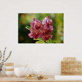 Vanda Bouquet Poster (Keuken)