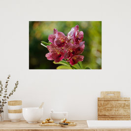 Vanda Bouquet Poster