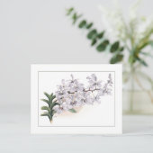 Vanda coerulea briefkaart (Staand voorkant)