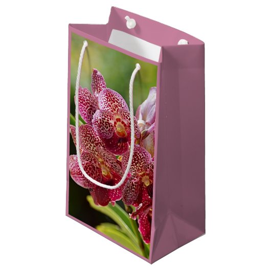 Vanda Orchid Cluster Birthday Gift Bag Klein Cadeauzakje (Voorkant Gekanteld)