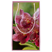 Vanda Orchid Cluster Birthday Gift Bag Klein Cadeauzakje (Voorkant)