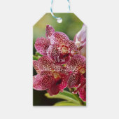 Vanda Orchid Cluster Birthday Gift Label Cadeaulabel (Voorkant)