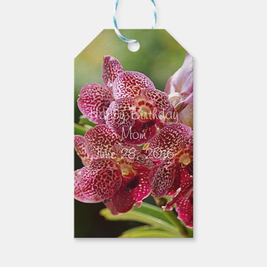Vanda Orchid Cluster Birthday Gift Label Cadeaulabel (Voorkant)