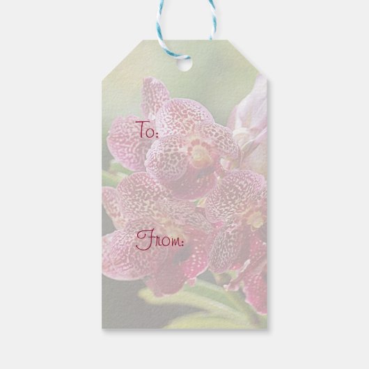 Vanda Orchid Cluster Birthday Gift Label Cadeaulabel (Achterkant)