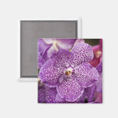 Vanda Orchid Magneet (Voorkant / Achterkant)