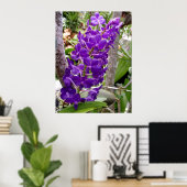 Vanda Orchids Poster (Thuiskantoor)
