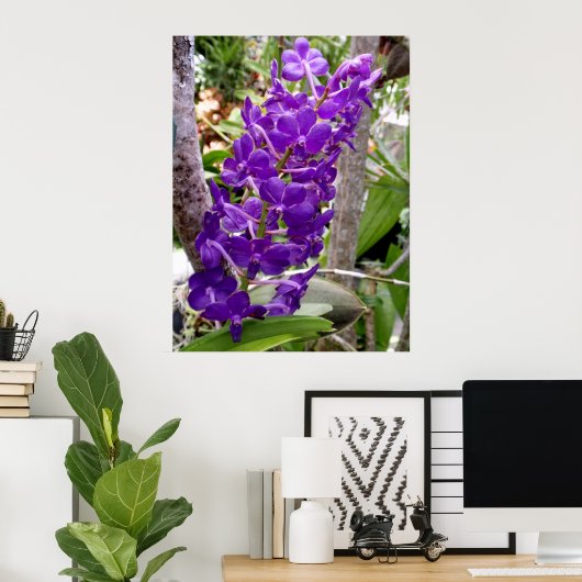 Vanda Orchids Poster (Thuiskantoor)