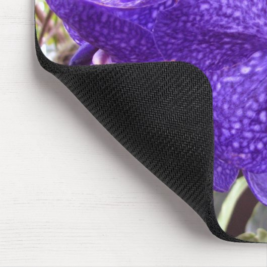 Vanda Pachara Orchid Muismat (Hoek)