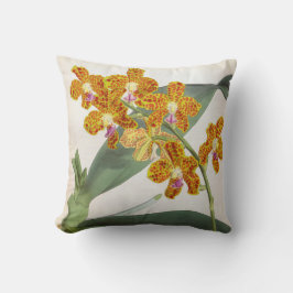 Vanda Parishii Oranje Vintage Lindenia Orchid Kussen