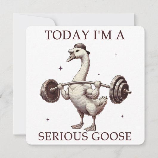 Vandaag ben ik een serieuze gans (Voorkant)