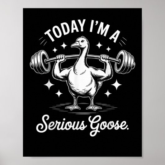 Vandaag ben ik een serieuze Goose Funny Deadlife W Poster (Voorkant)