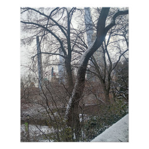 Vandaag in Central Park New York City Foto Afdruk