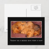 Vandaag is een goede dag voor een dutje briefkaart (Voorkant / Achterkant)