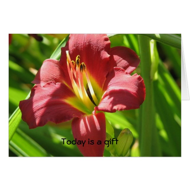 Vandaag is het een cadeau (Voorkant Horizontaal)