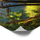 Vandaag is het een Dag van het Inspirerend poster. Poster (Hoek)