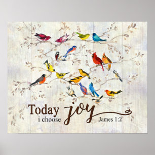 Vandaag kies ik Joy Birds Poster
