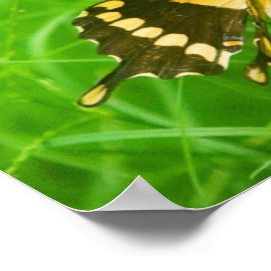 Vandaag kies ik Joy Poster (Hoek)