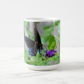 Vandaag kies ik Joy,  vlinder Koffiemok (Center)