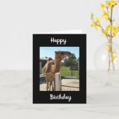 VANDAAG KWAM HIJ GEEN VERLENING VAN DIT KAMPJE! KAART (Gele Bloem)