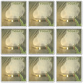 Vandaag Planner Stickers Scrapbook  Groen (Voorkant)