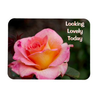 Vandaag Ziet Roos Magneet er mooi uit