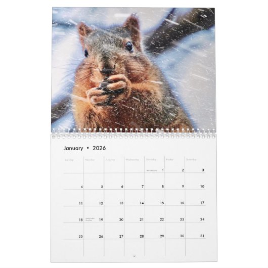 Vander Veer Park Davenport Iowa Calendar Kalender (Jan 2026)