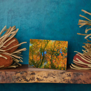 VanDusen Botanische Tuin Vancouver, Canada Fotoplaat