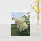 Vanessa Bell Yellow Rose, verticaal  Kaart (Gele Bloem)