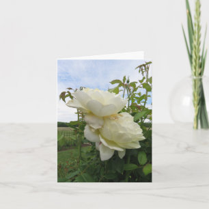 Vanessa Bell Yellow Rose, verticaal  Kaart