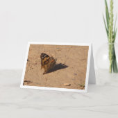 Vanessa cardui - Dame Butterfly Card Kaart (Voorkant)