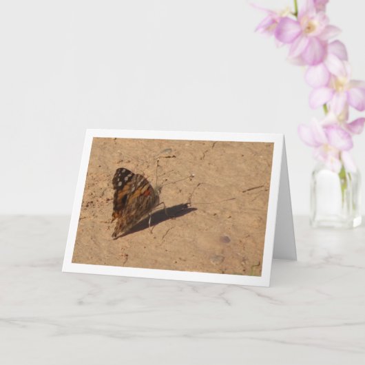 Vanessa cardui - Dame Butterfly Kaart (Orchidee)