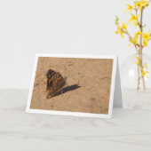 Vanessa cardui - Dame Butterfly Kaart (Gele Bloem)