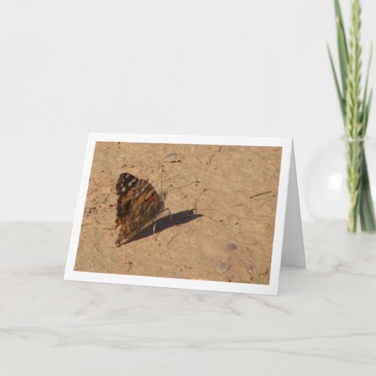 Vanessa cardui - Dame Butterfly Kaart (Voorkant)