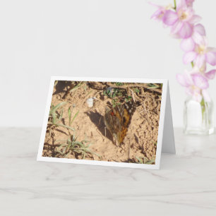 Vanessa cardui - geschilderde Lady Butterfly Kaart