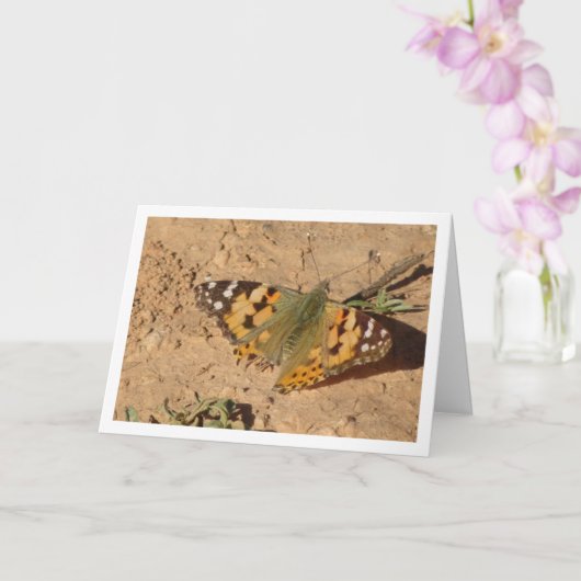 Vanessa cardui - geschilderde Lady Butterfly Kaart (Orchidee)