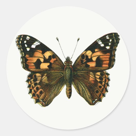 Vanessa cardui - The Painted Lady Butterfly Keycha Ronde Sticker (Voorkant)