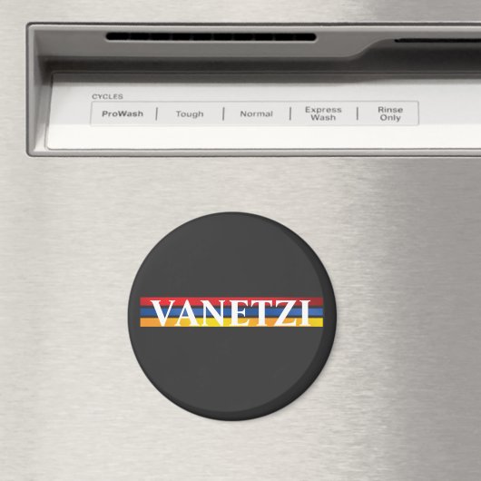 Vanetzi Magneet (Insitu (Vaatwasser))