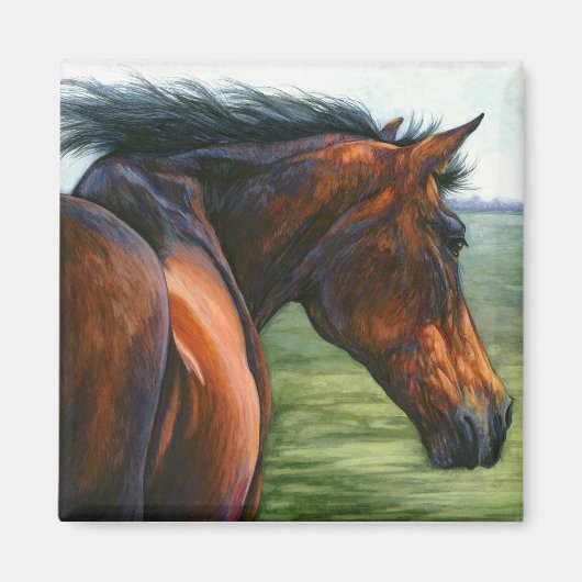 Vang de wind - Bay Horse Magnet (Voorkant)