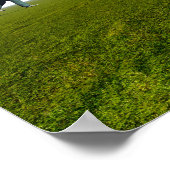 Vang de wind! poster (Hoek)