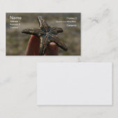 Vang een drijvende ster...Visitekaartje van Starfi Visitekaartje (Voorkant / Achterkant)