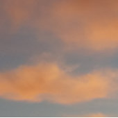 Vang elke droomMok Koffiemok